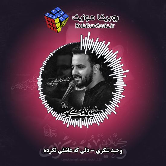 دانلود نماهنگ وحید شکری دلی که عاشقی نکرده 1 دانلود نماهنگ دلی که عاشقی نکرده وحید شکری